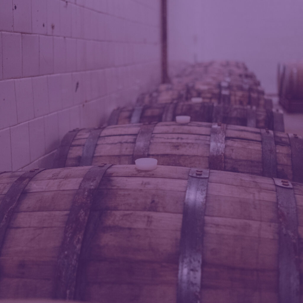 Row of whiskey barrels with purple overlay